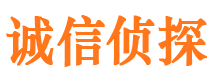 彭山市私人侦探